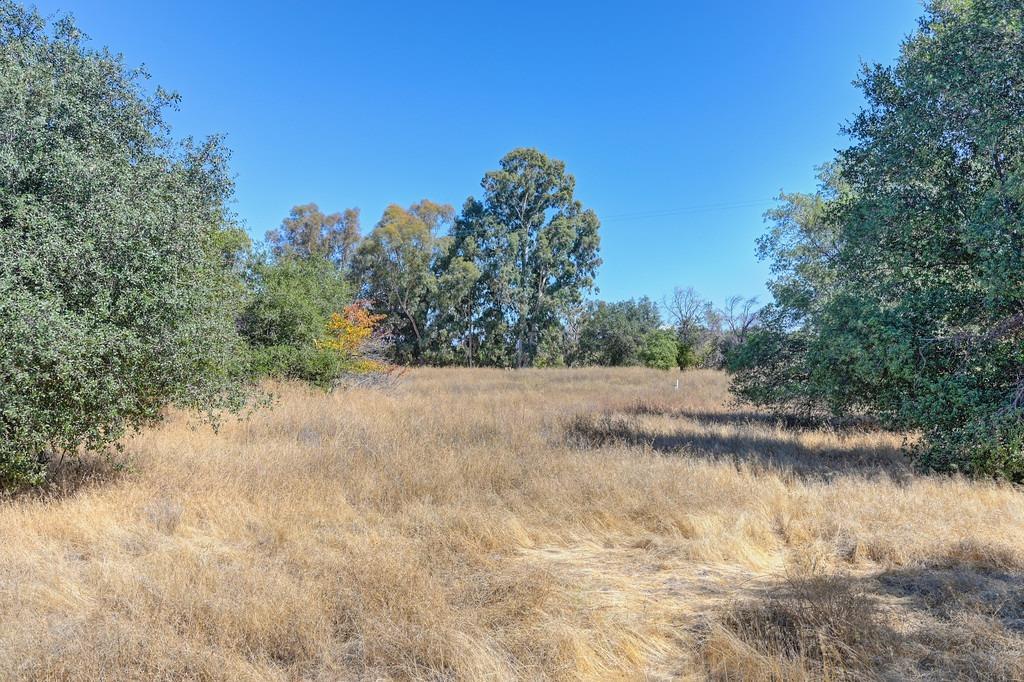 Sierra View Place, Loomis, California image 9