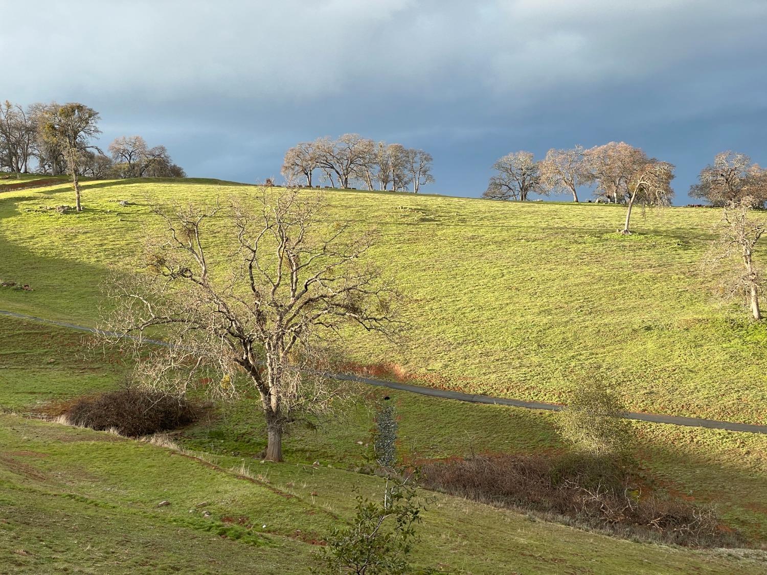 C David Drive, Sutter Creek, California image 3