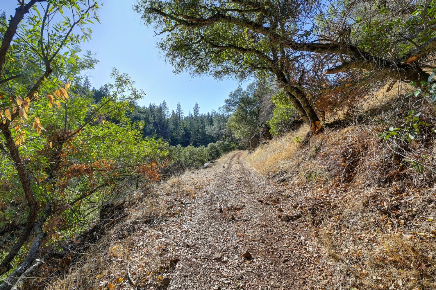 Sweetwater Trail, Cool, California image 7