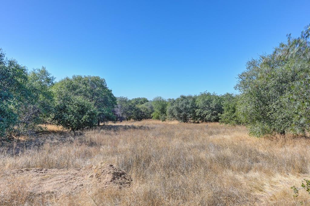 Sierra View Place, Loomis, California image 10