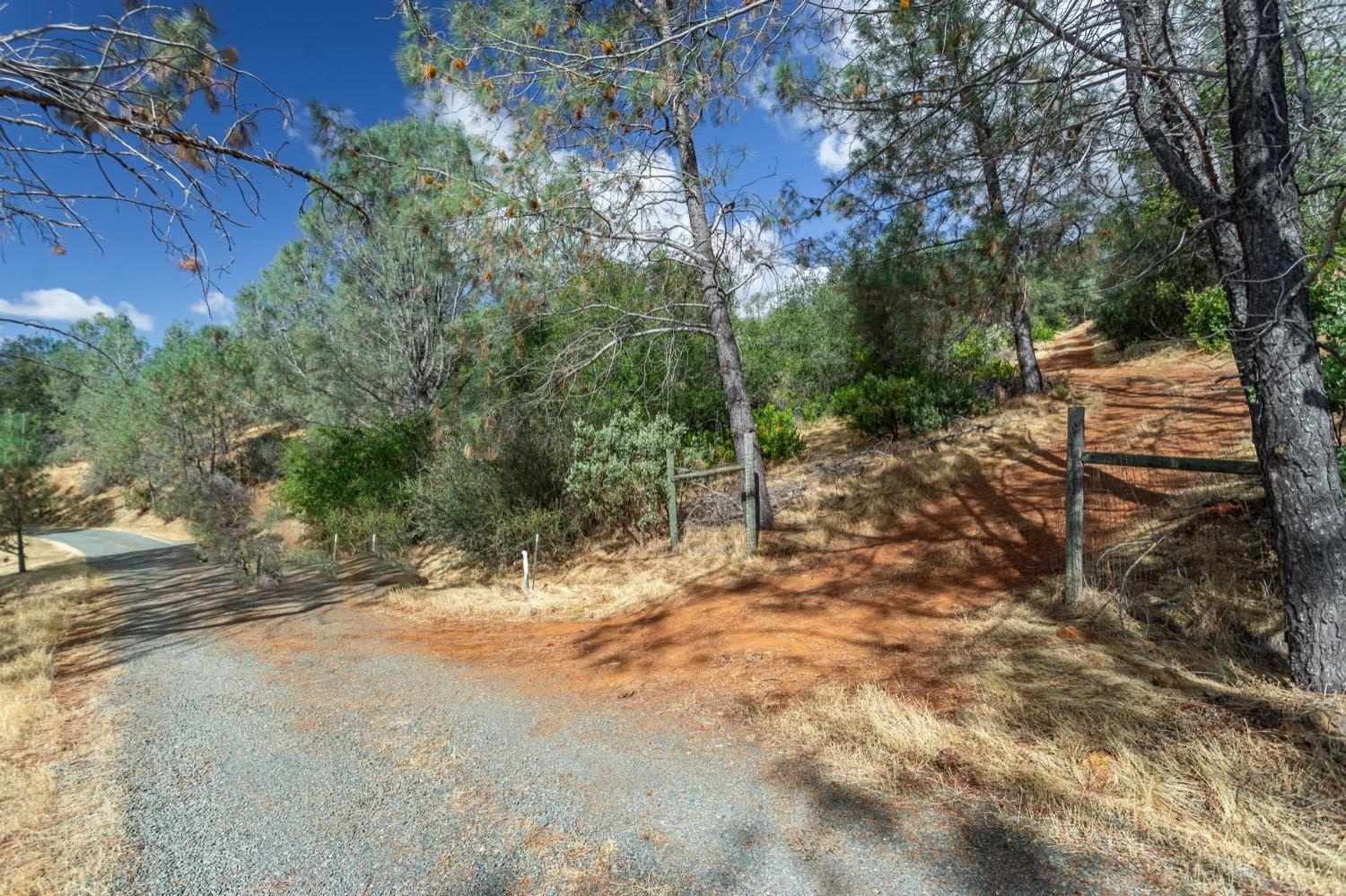 Photo of 21088 Dalzell Rd in Smartsville, CA