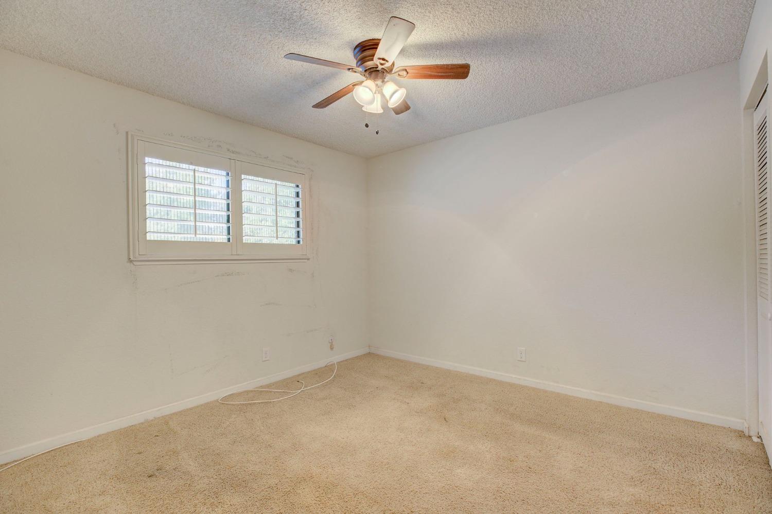 Photo #19: 223099533 Listing: Photo #19