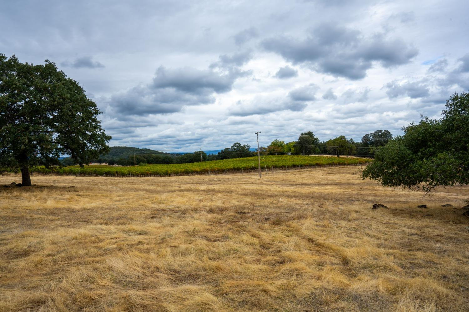 Bitney Springs Road, Nevada City, California image 36