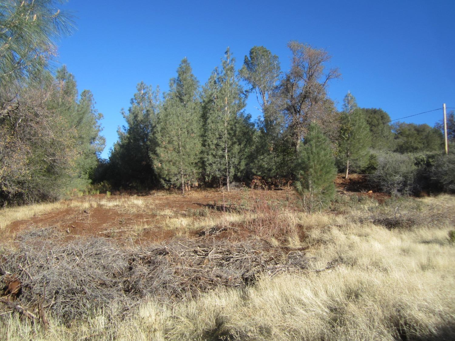 Dyer Way, Placerville, California image 5