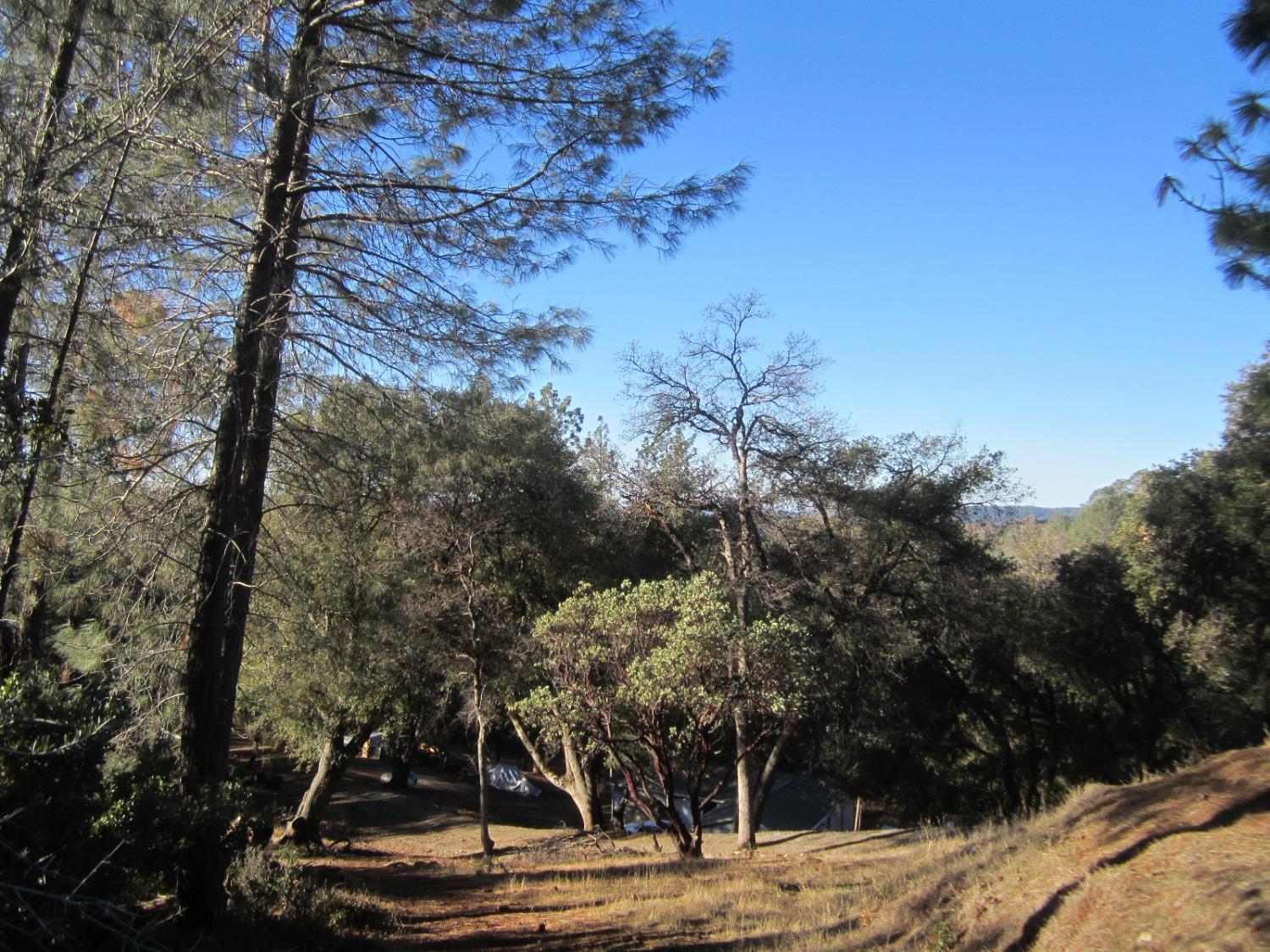 Dyer Way, Placerville, California image 7