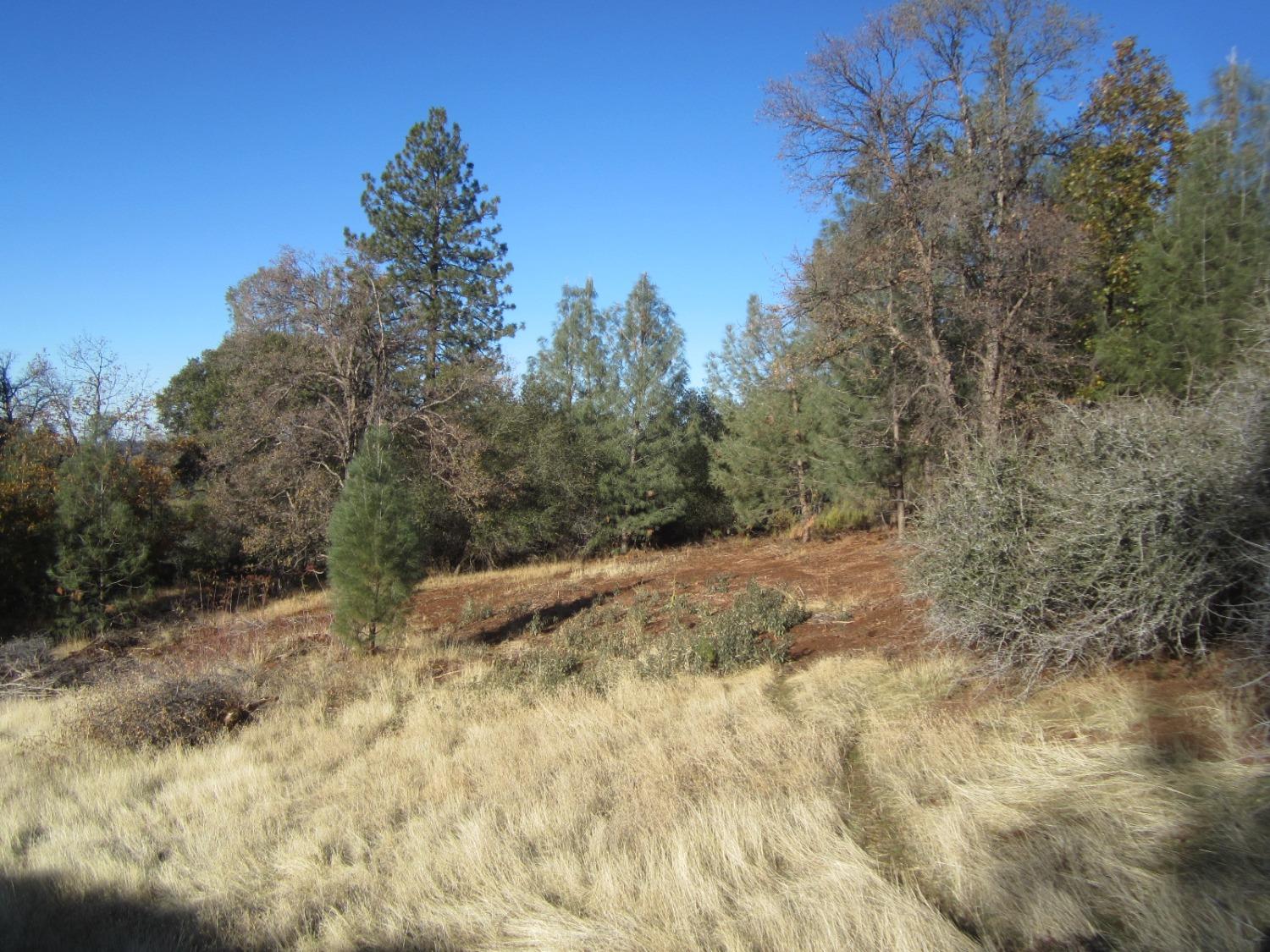 Dyer Way, Placerville, California image 6