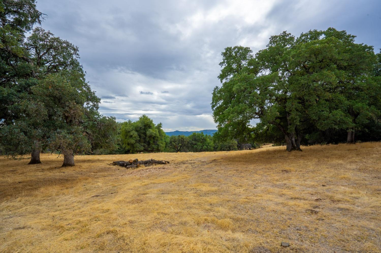 Bitney Springs Road, Nevada City, California image 34