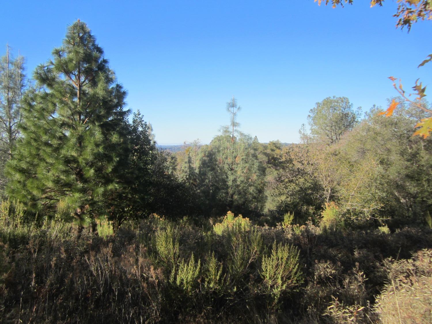 Dyer Way, Placerville, California image 2