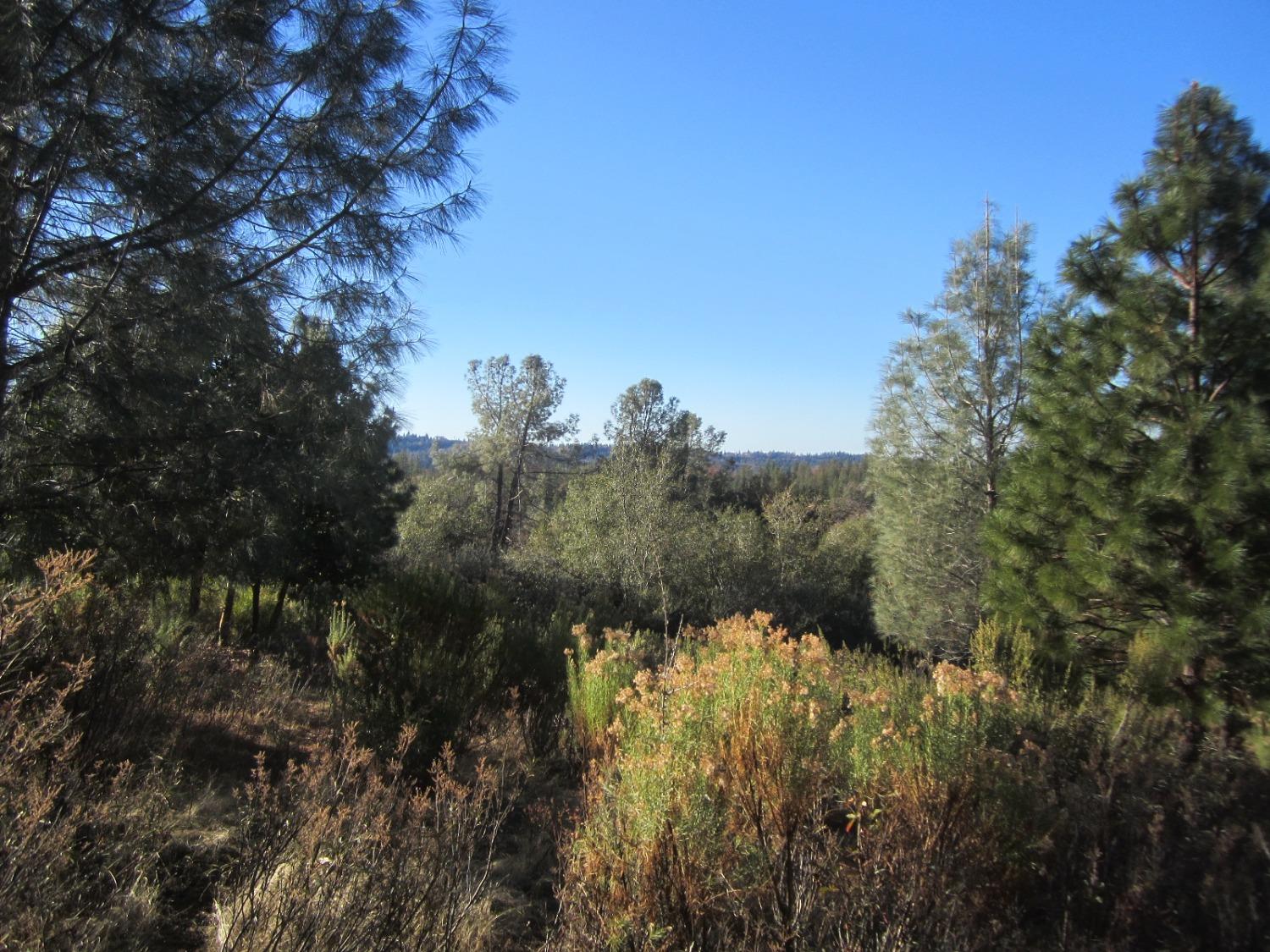 Photo of 2928 Dyer Wy in Placerville, CA