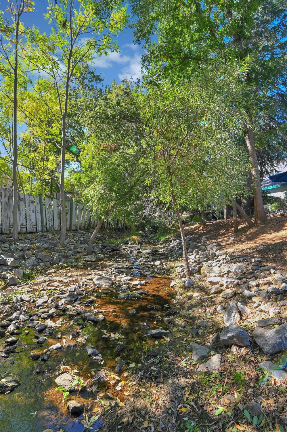 Annalee Drive, Angels Camp, California image 50