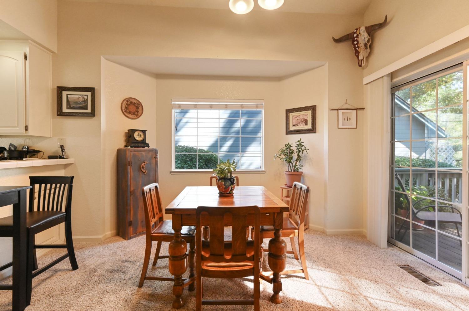Annalee Drive, Angels Camp, California image 34