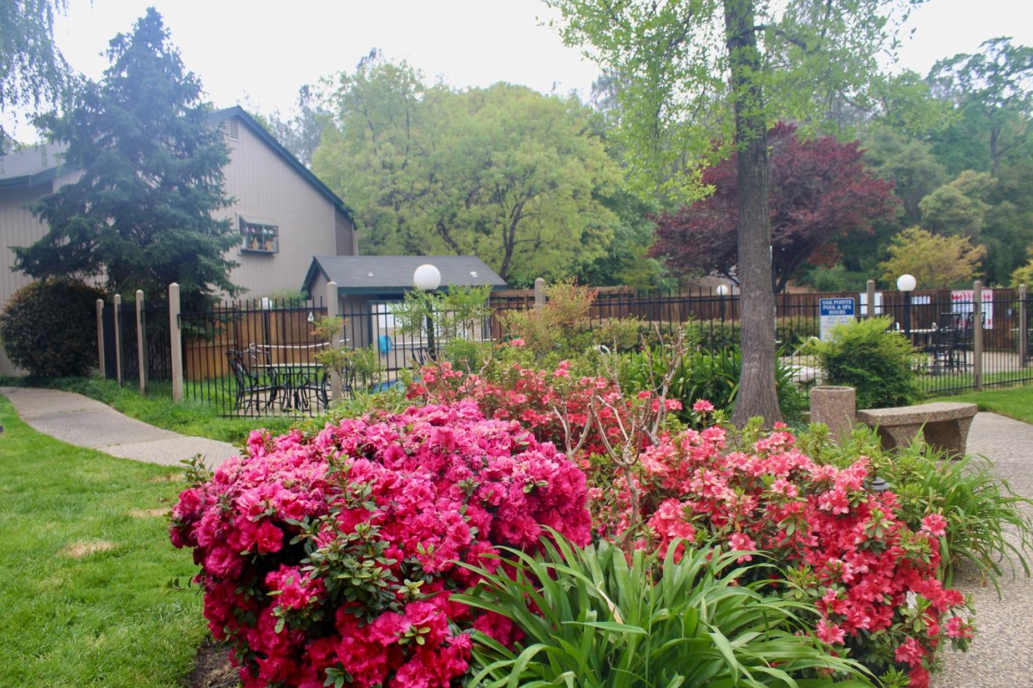 Photo #21: 223059339 Listing: Photo #21