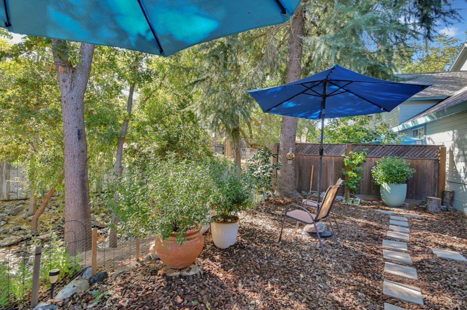Annalee Drive, Angels Camp, California image 41
