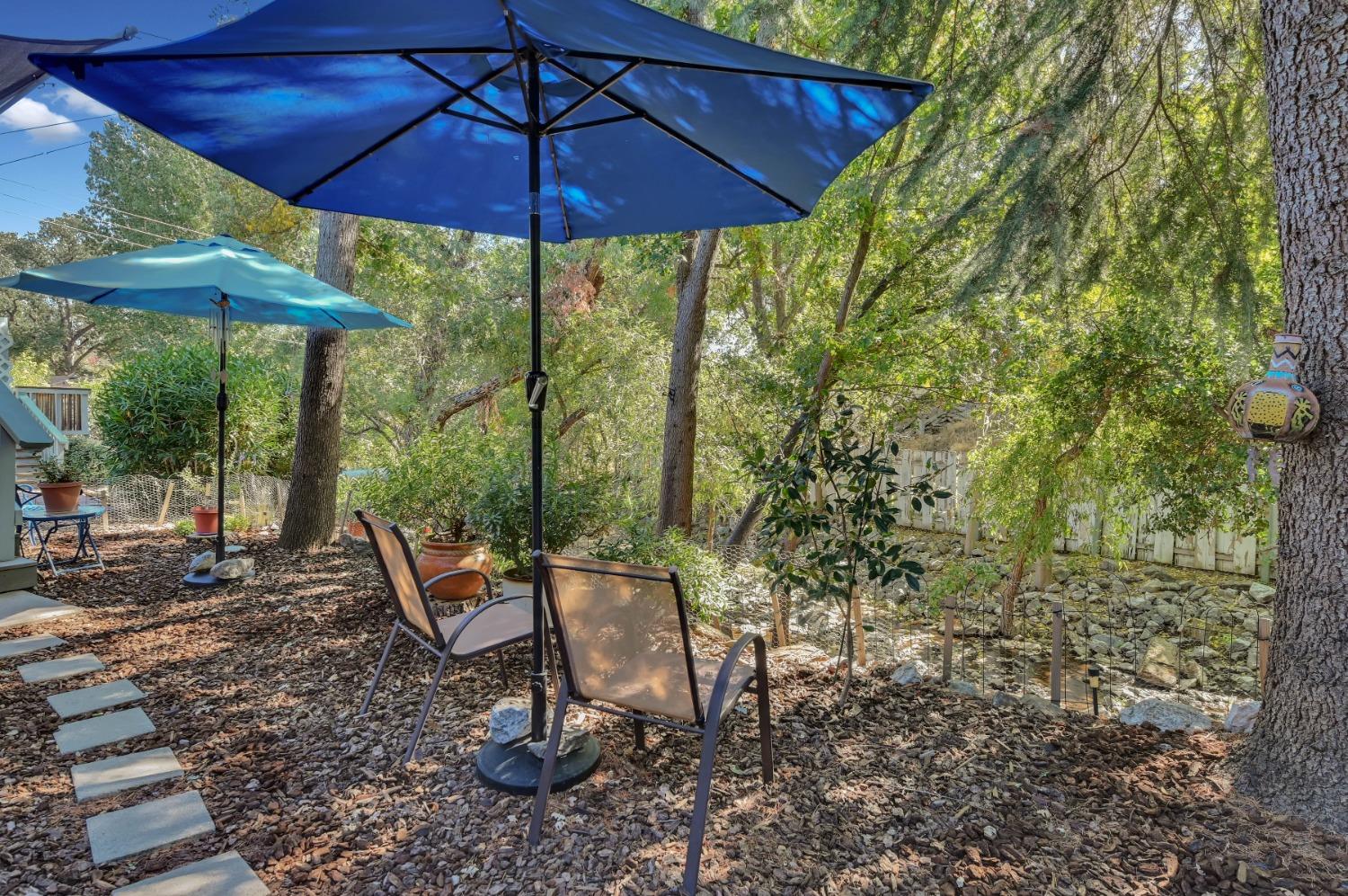 Annalee Drive, Angels Camp, California image 42