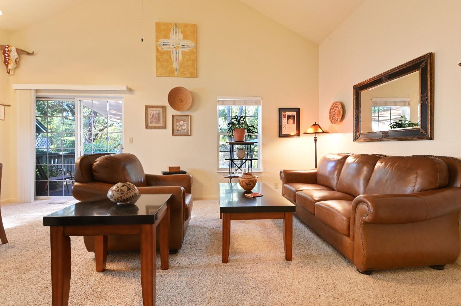 Annalee Drive, Angels Camp, California image 38
