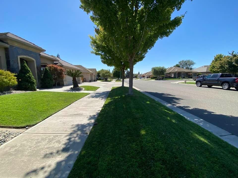 Sea Breeze Drive, Ripon, California image 49