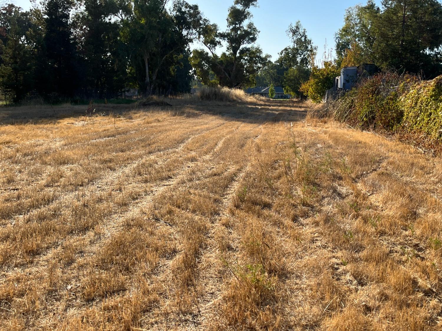 Beskeen Road, Herald, California image 3