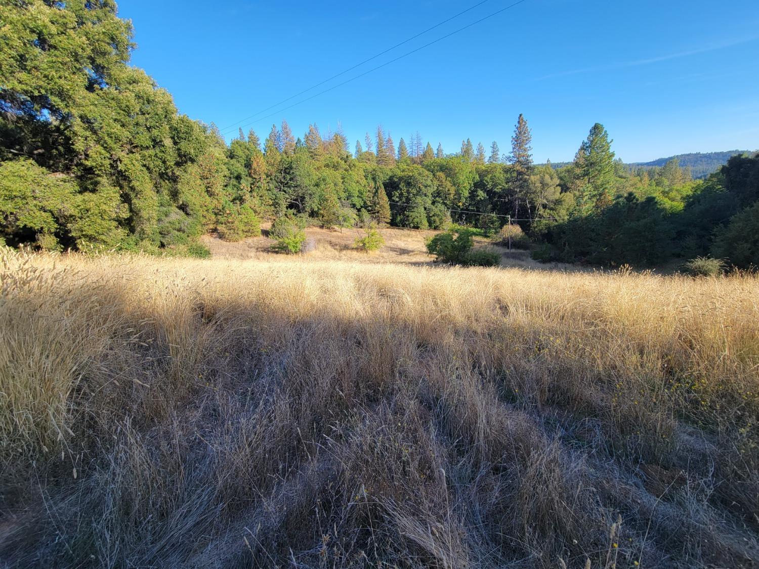 Railroad Flat Road, Wilseyville, California image 20