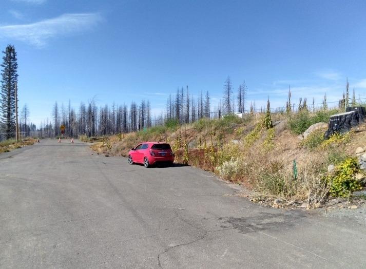 Tyler Drive, Grizzly Flats, California image 3