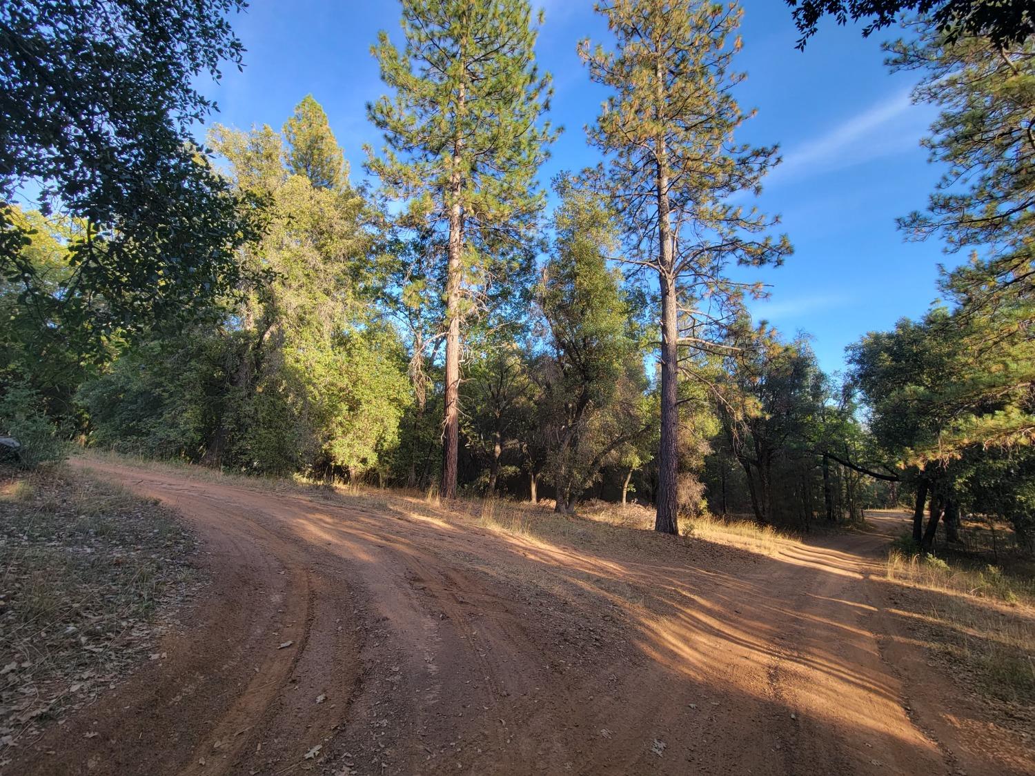 Railroad Flat Road, Wilseyville, California image 16