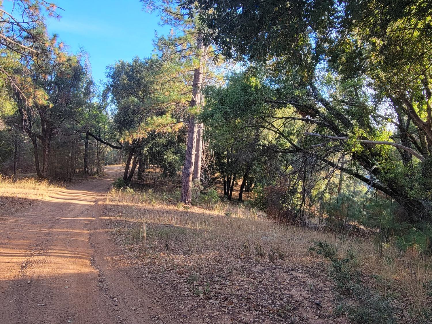 Railroad Flat Road, Wilseyville, California image 22