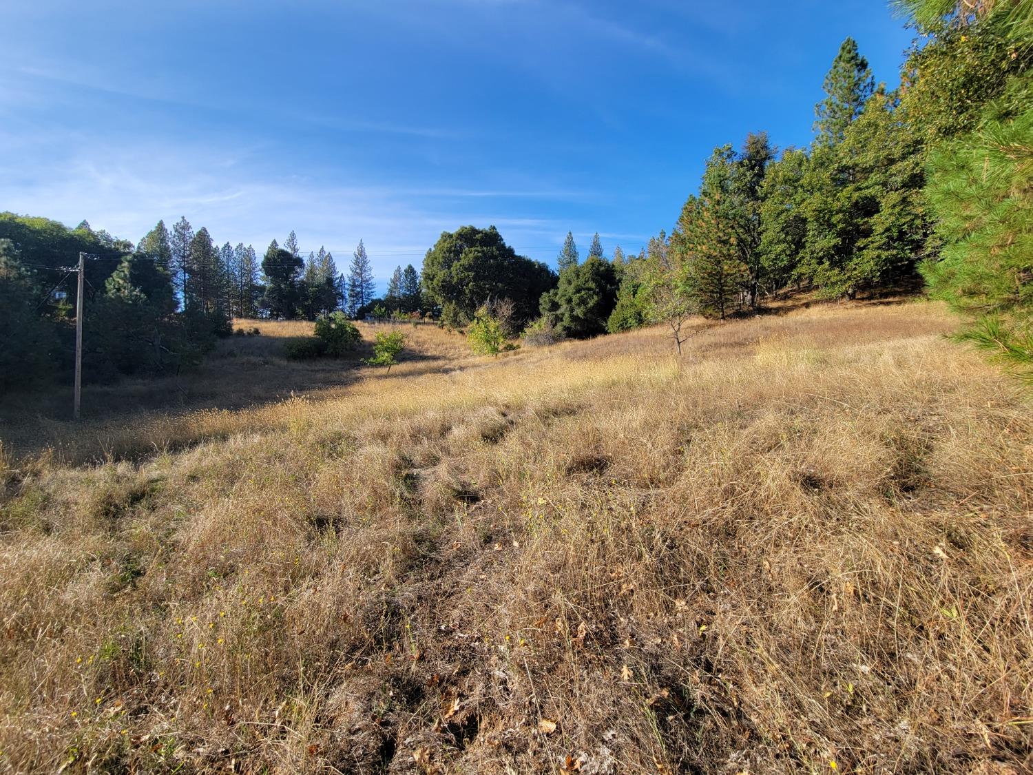 Railroad Flat Road, Wilseyville, California image 19