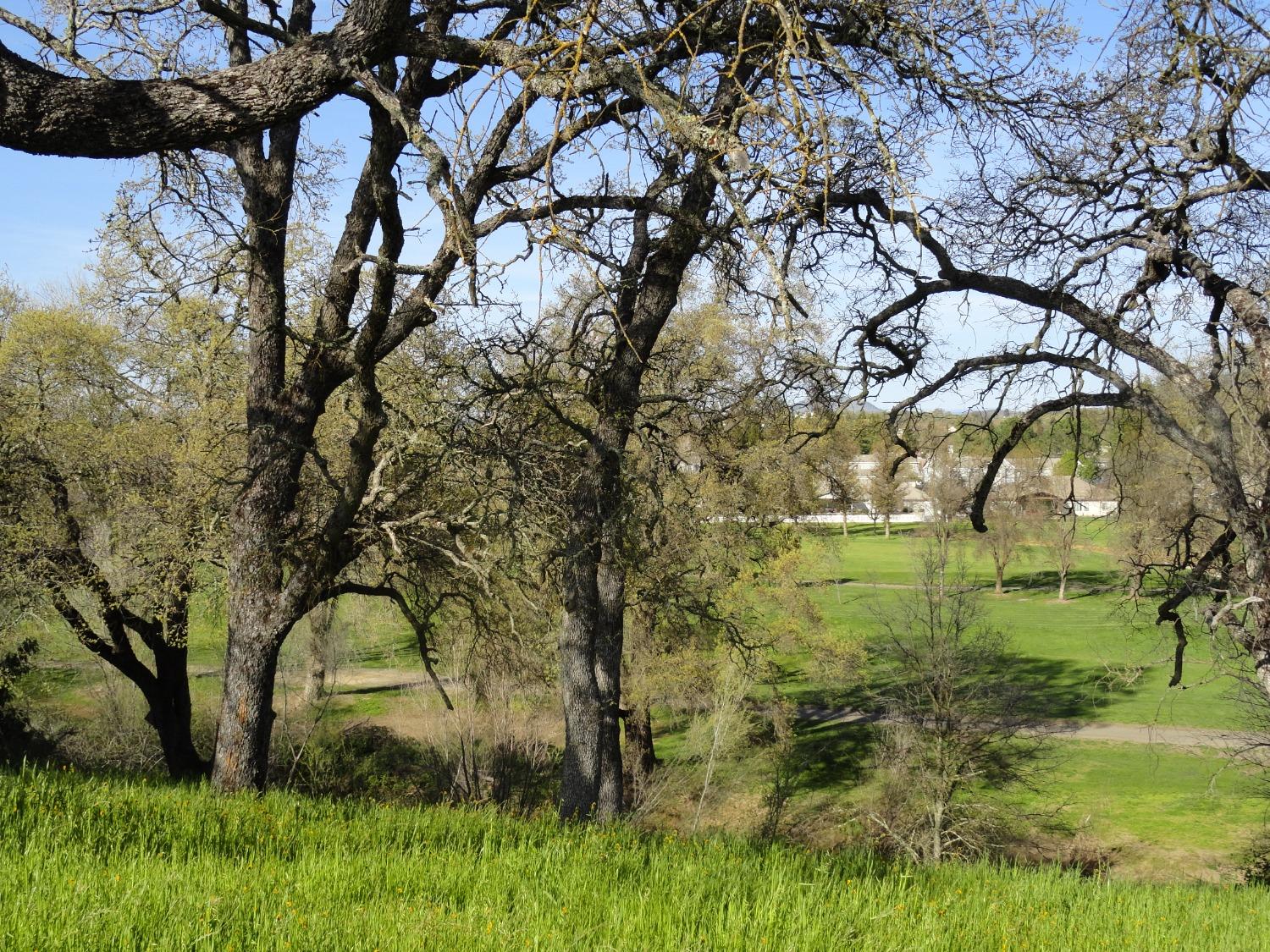 Greenbriar Road, Valley Springs, California image 1