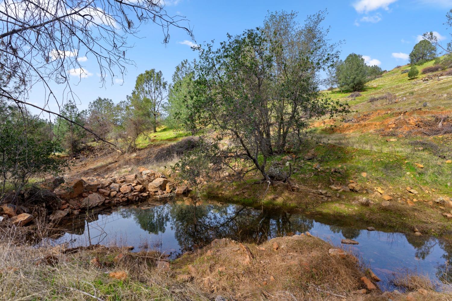 Mcdaniel Road, Smartsville, California image 10