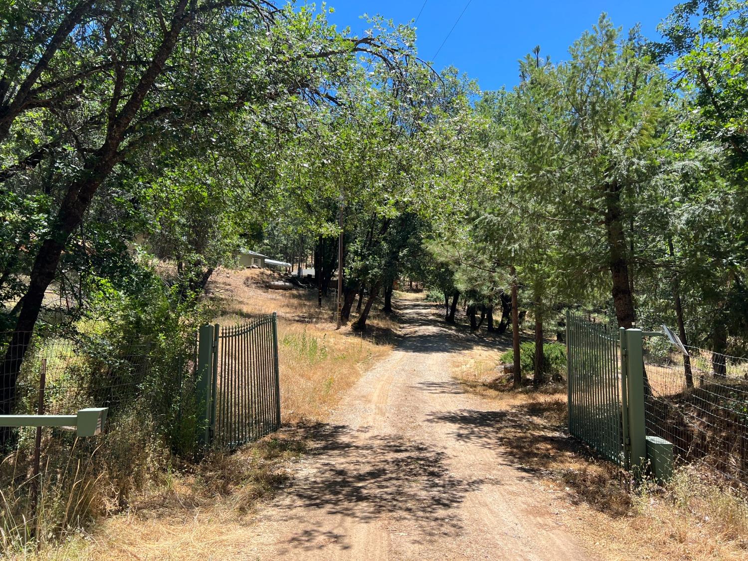 Timber Lane, West Point, California image 3