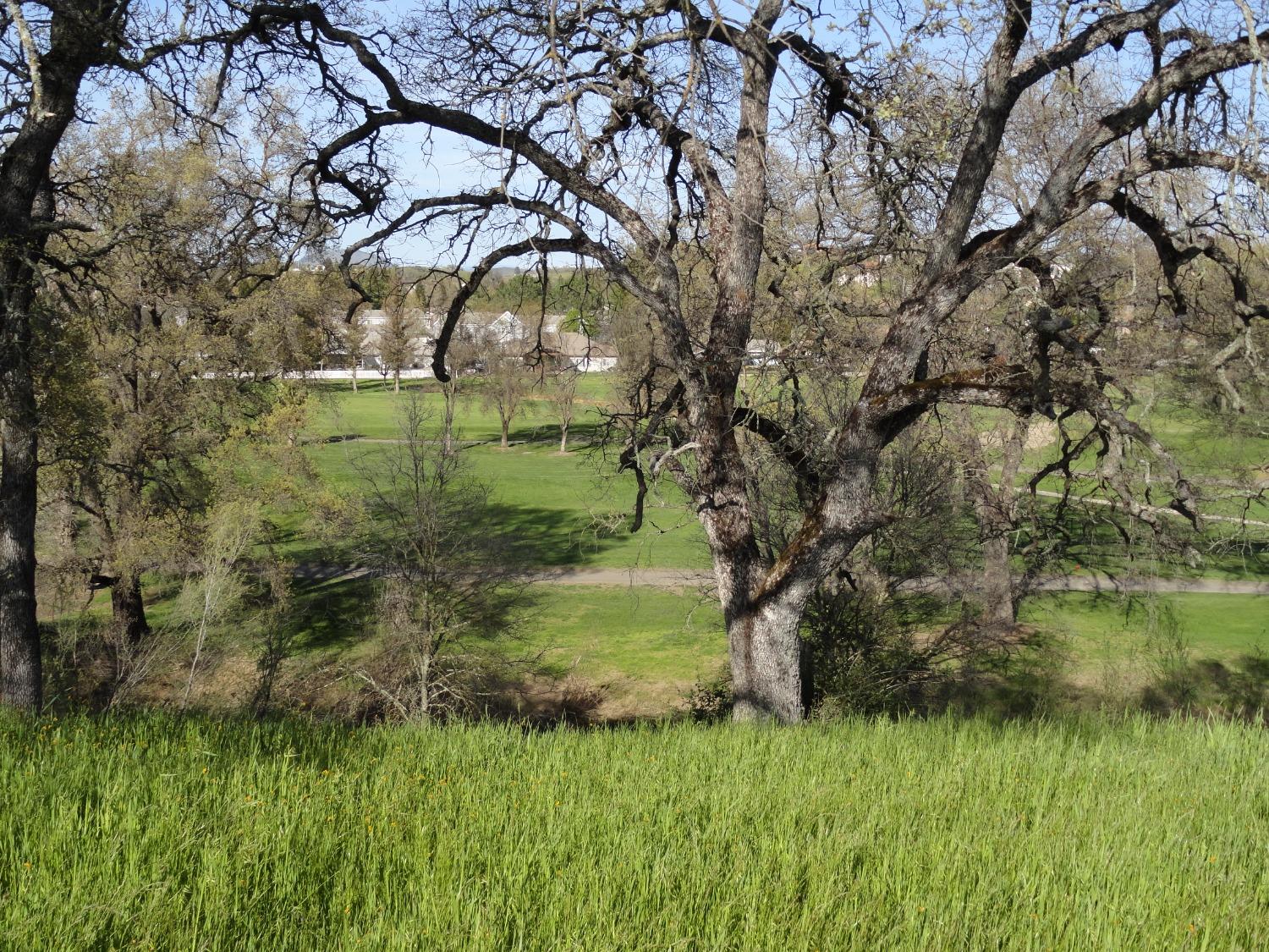 Greenbriar Road, Valley Springs, California image 2