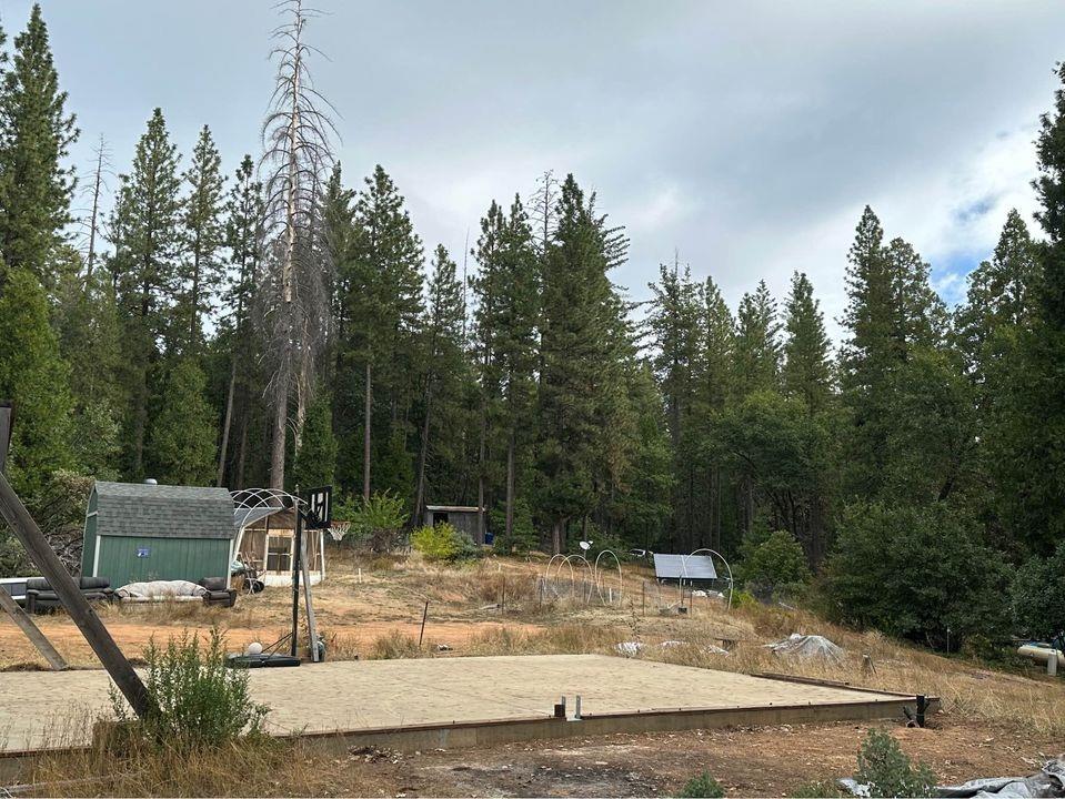 Cable Road, Camino, California image 12