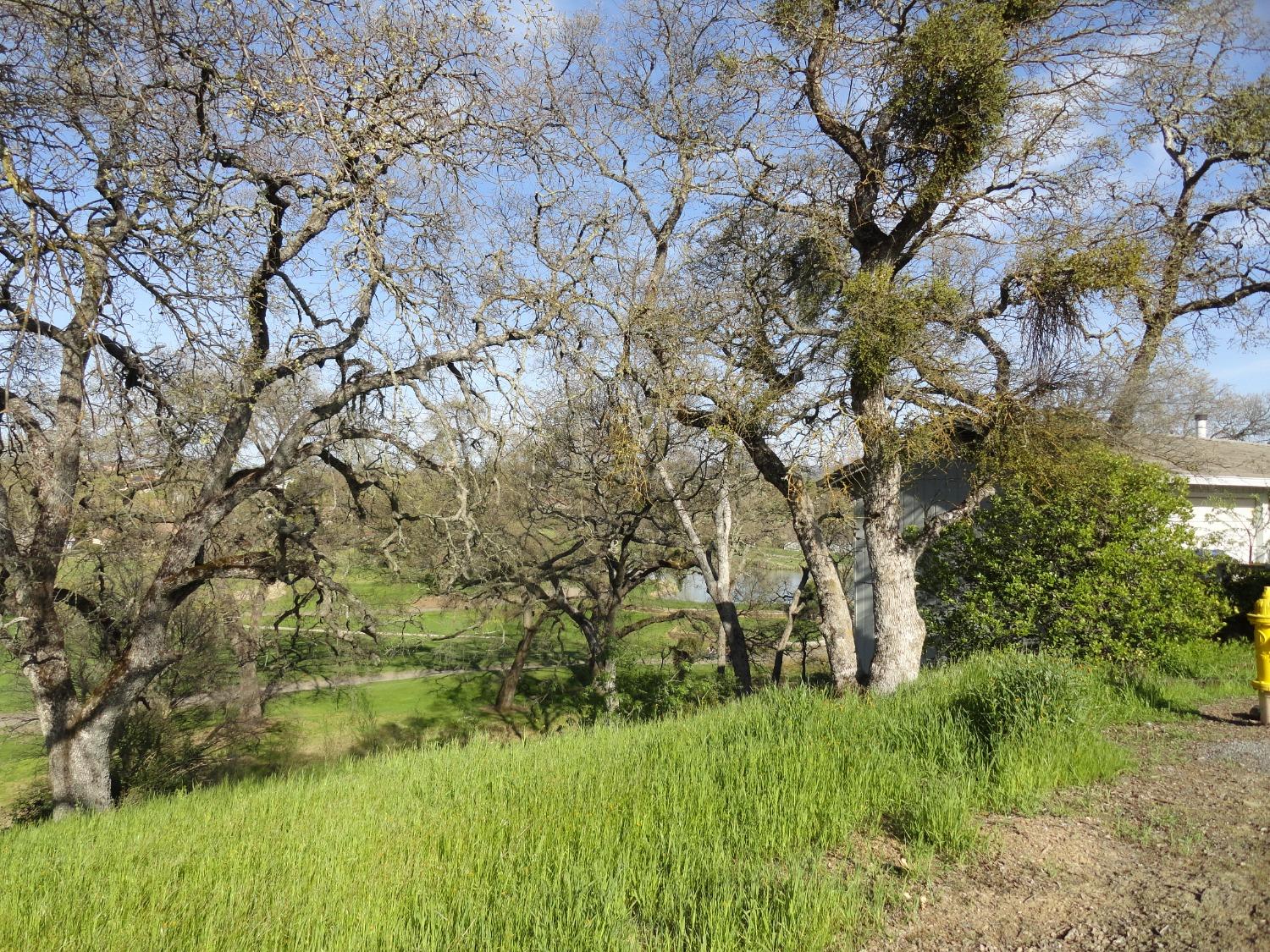 Greenbriar Road, Valley Springs, California image 3