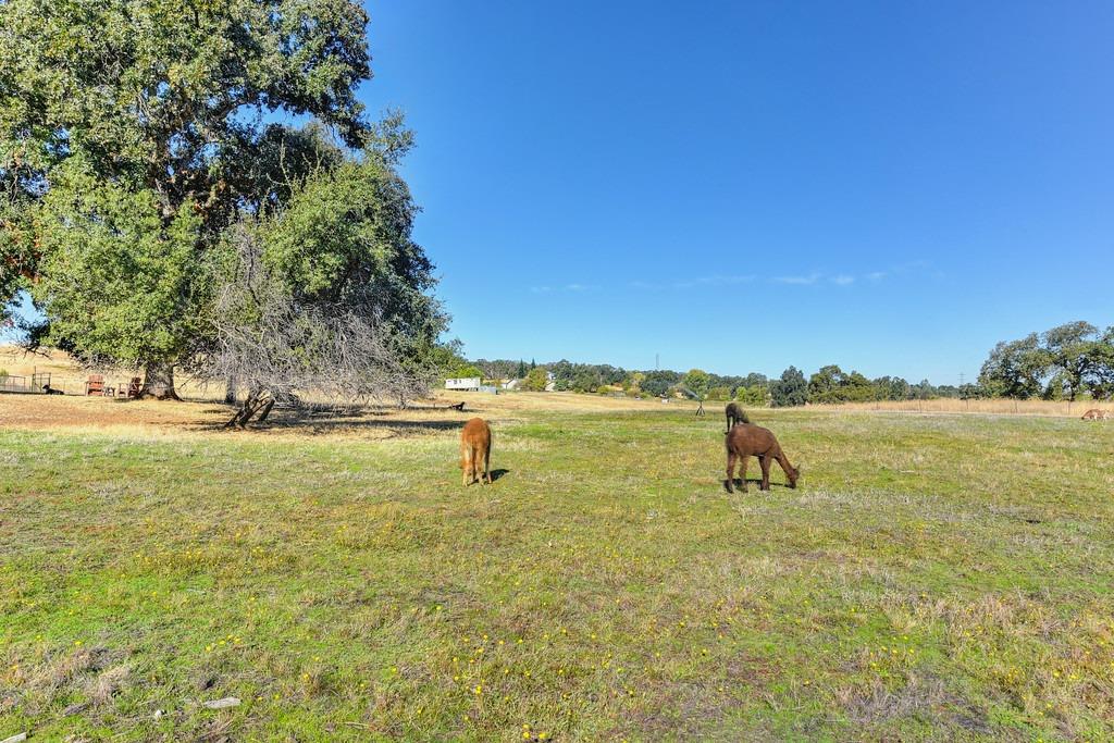 Mccourtney Road, Lincoln, California image 30