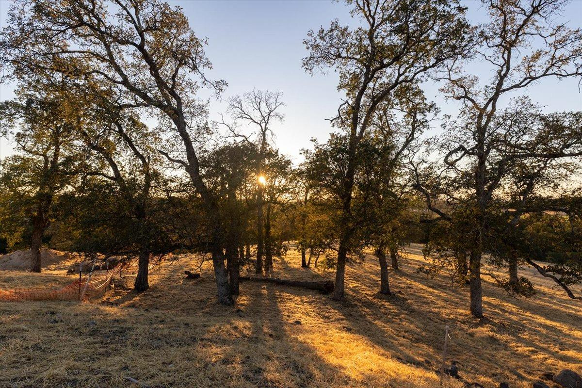 Paseo Tranquilo, Lincoln, California image 8