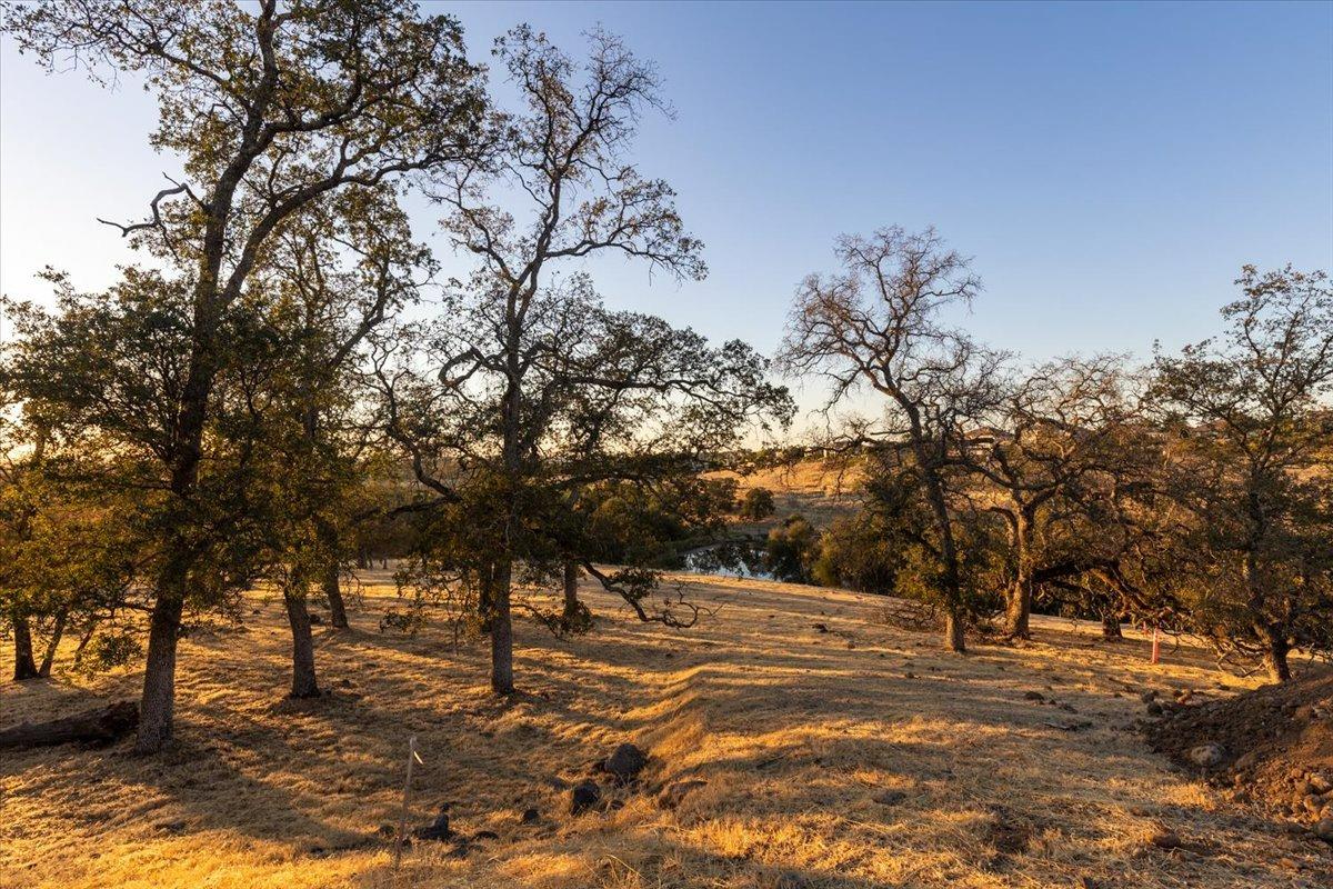 Paseo Tranquilo, Lincoln, California image 7