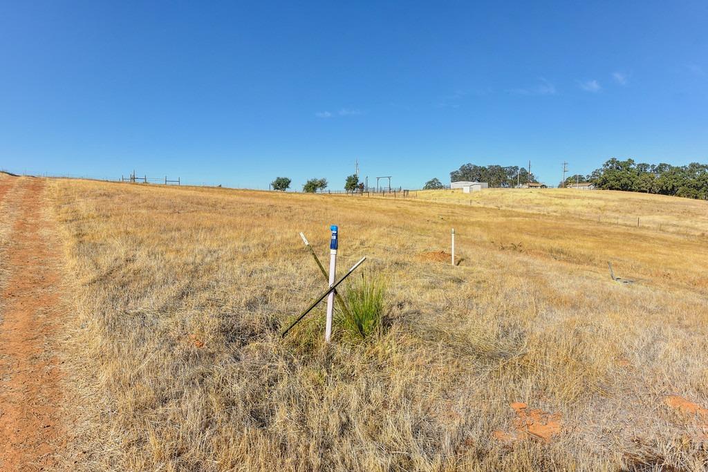 Mccourtney Road, Lincoln, California image 37