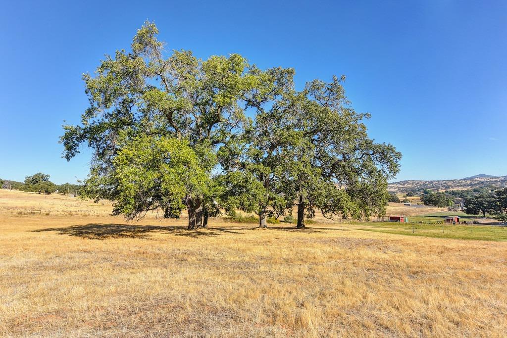 Mccourtney Road, Lincoln, California image 38