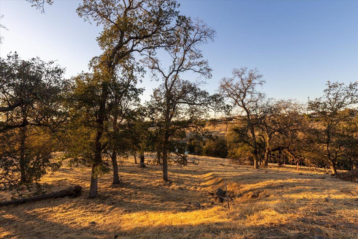 Paseo Tranquilo, Lincoln, California image 9