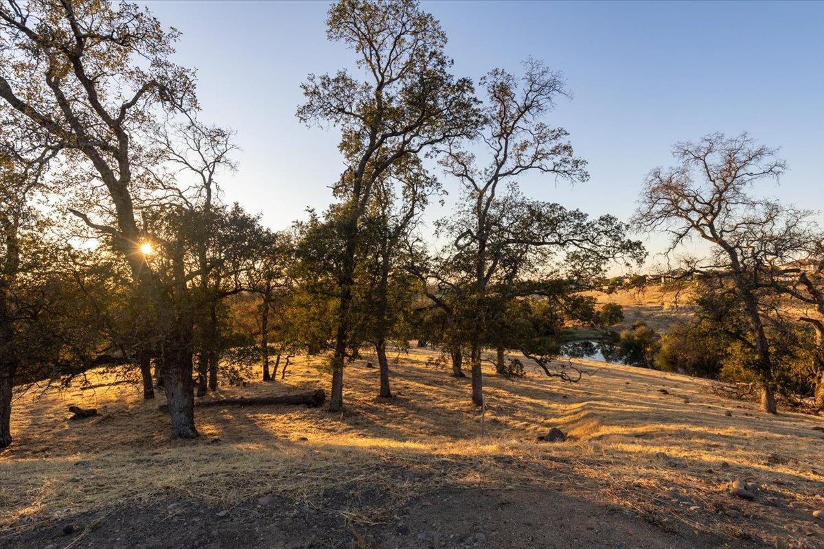 Paseo Tranquilo, Lincoln, California image 6