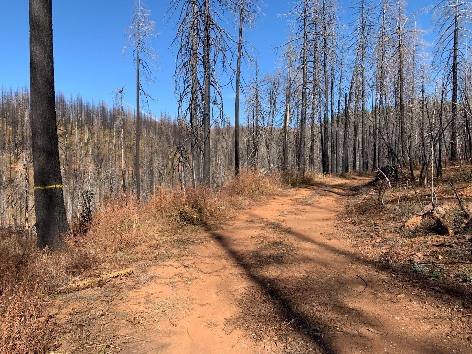 Acres Big Canyon Loop, Grizzly Flats, California image 7