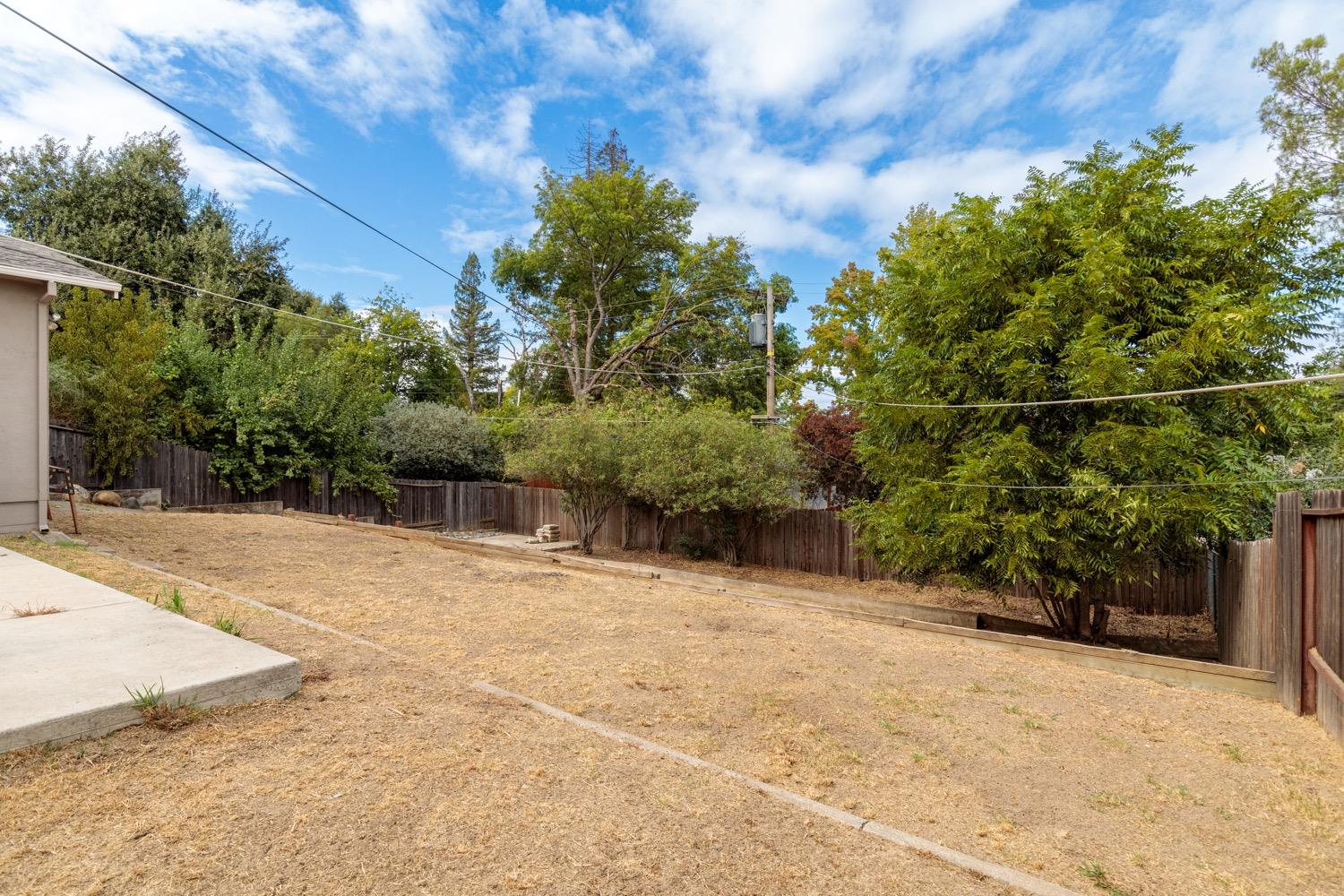 Amerigo Avenue, Orangevale, California image 25