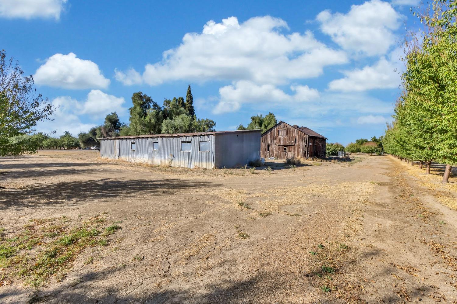 Almond Ave, Arbuckle, California image 38