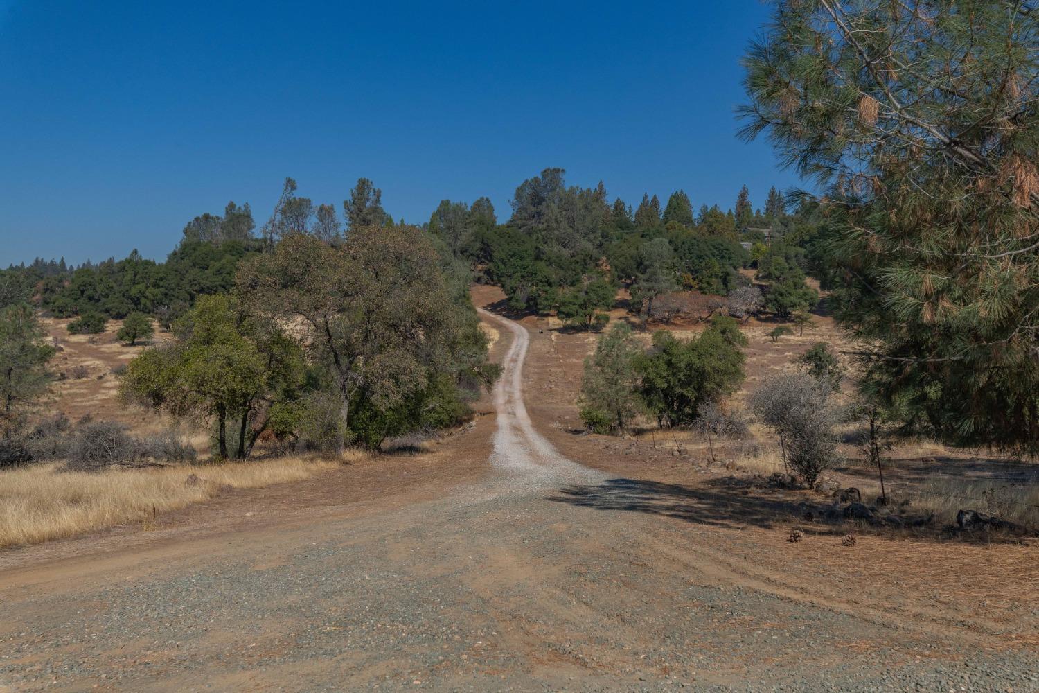 Buckeye Drive, Volcano, California image 39