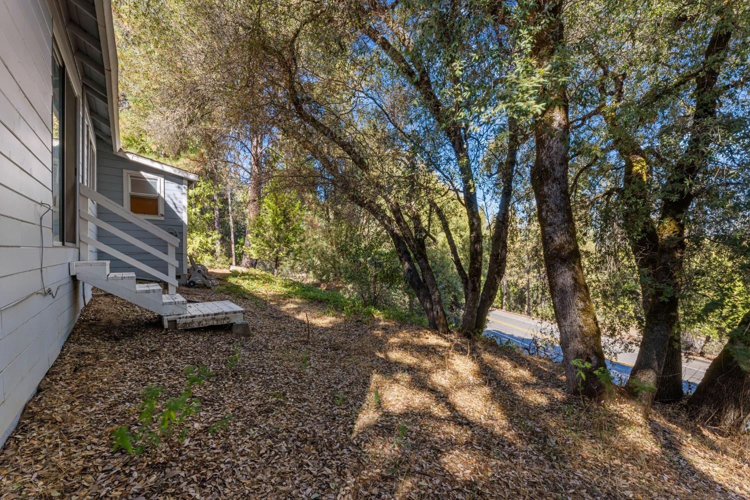 Mount Aukum Road, Somerset, California image 34