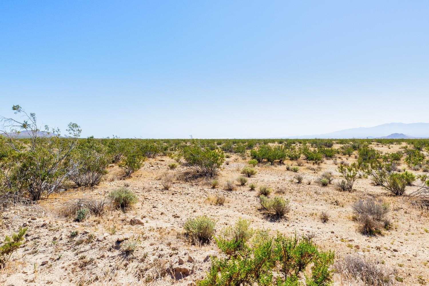 Skyview, Adelanto, California image 7