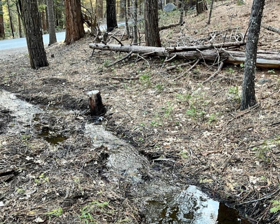 Sierra Parkway, Camp Connell, California image 6