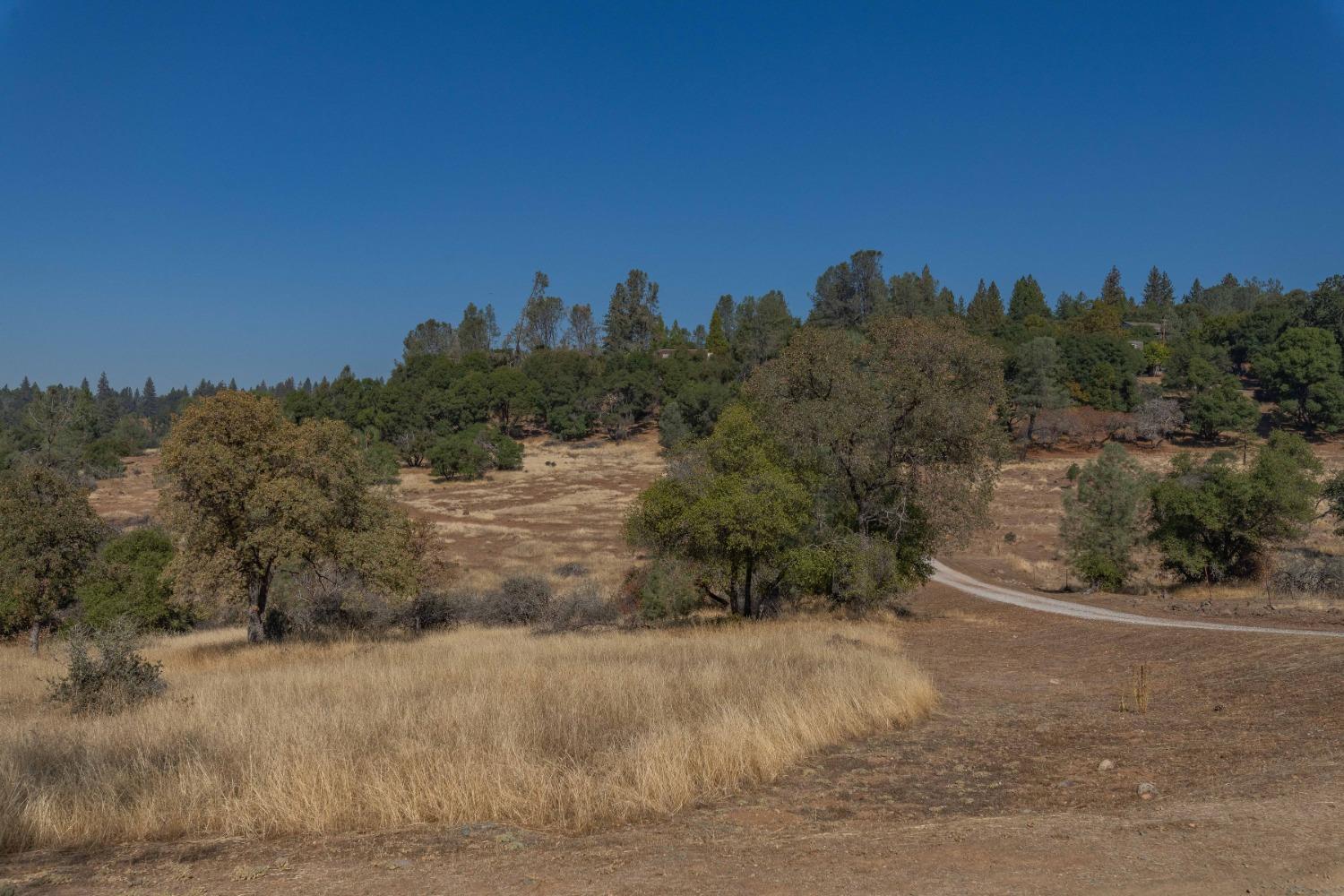 Buckeye Drive, Volcano, California image 40