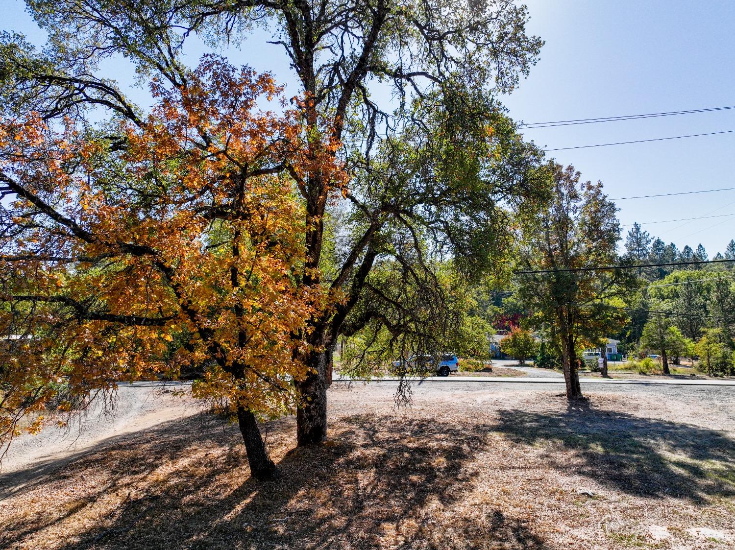 Rough And Ready Highway, Rough and Ready, California image 6