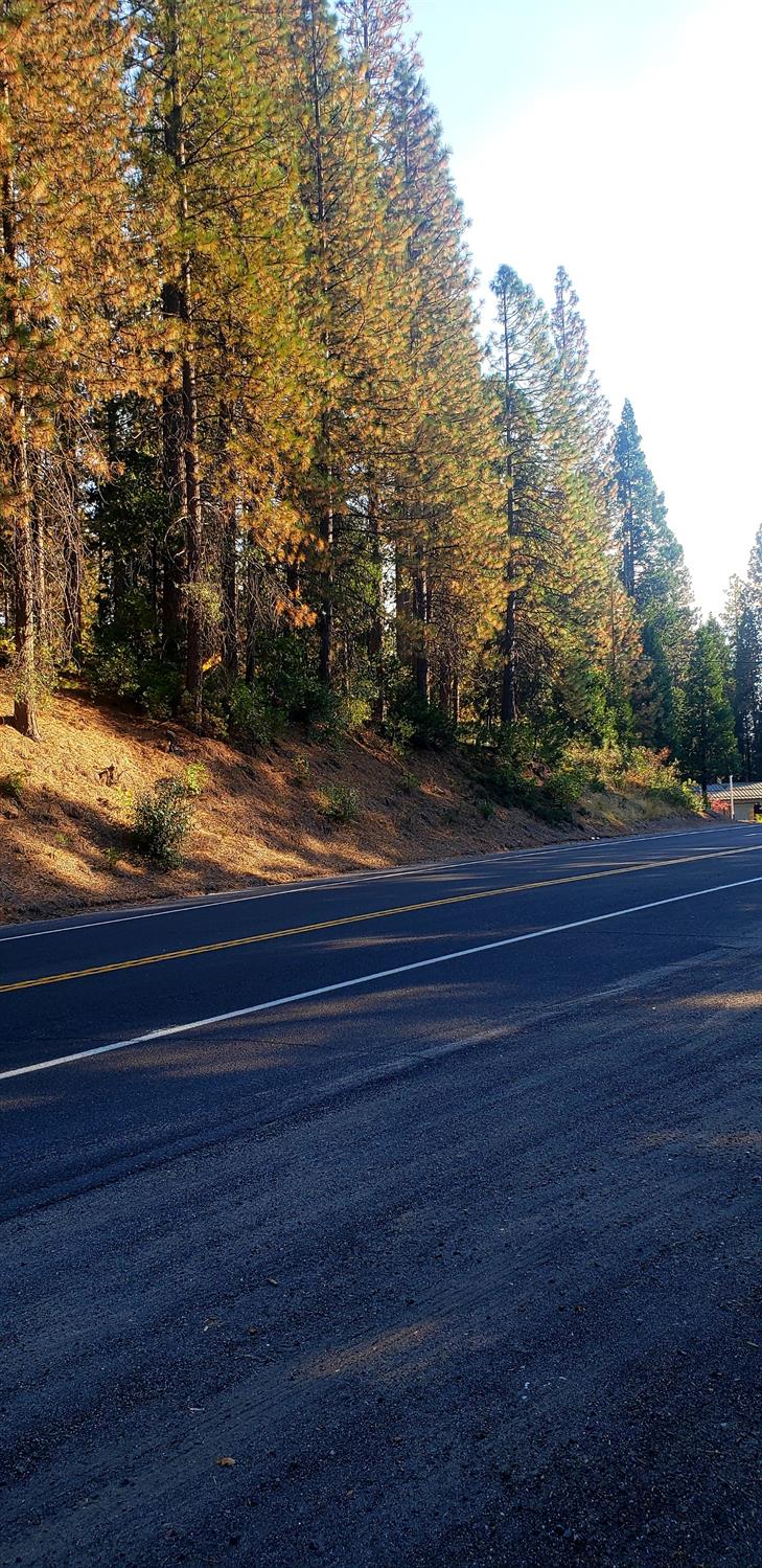 Photo of 2419 Hwy 4 in Arnold, CA