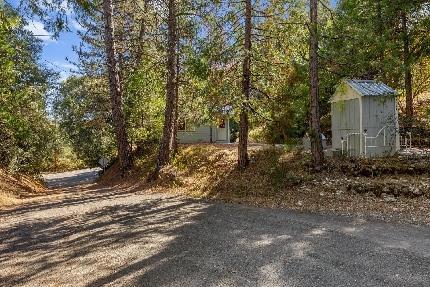 Mount Aukum Road, Somerset, California image 37